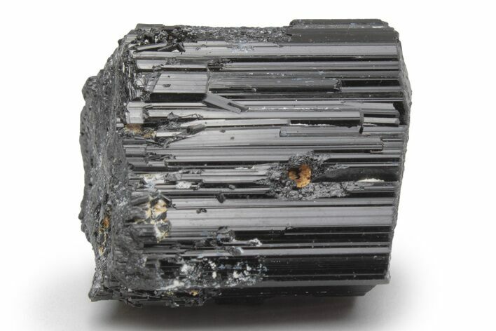 Lustrous Black Tourmaline (Schorl) Crystal - Madagascar #217286